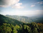 View from Blue Mountains