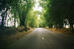 Road to Gabriela