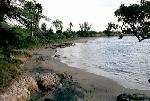 Cove in Negril