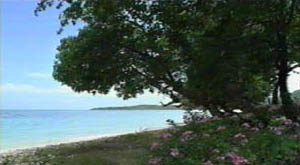 Ocean View