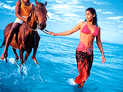 Horseback riding in Jamaica