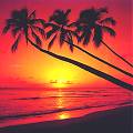 Sunset in Ocho Rios